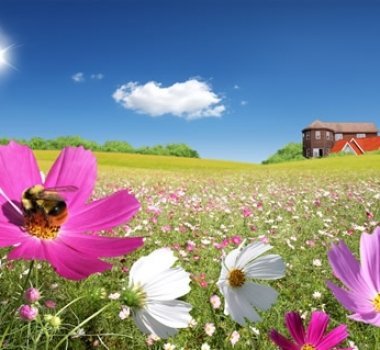 ��Ȼ����ϴ��Һ�㾫 ������Ȼ�Ļ��� ����־�